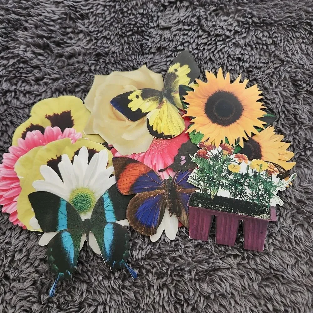 Bundle Scrapbooking Crafting Die Cuts Various Designs and Sizes